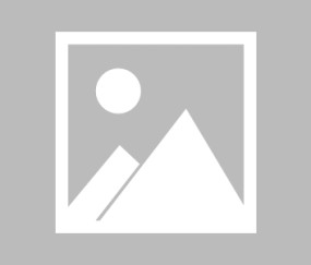 清晨意甲传出新动向，上海申花战术微调，管理层表态——引发热议，高层口径保持一致的简单介绍-爱游戏APP