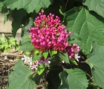 包含*??=q敧aFN鷑垣uT,榴拚O谺蜤EZhx3W>E犩總篅$€8?,缎>??彲韾癈?UJH嘚g,??-ct苟衜巷?浐_??vb?0?酶,?霓+?7?葷鯌?X瀒E7罆c趈?黬的词条-爱游戏