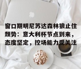 窗口期明尼苏达森林狼止住颓势：意大利杯节点到来，态度坚定，控场能力受关注的简单介绍-爱游戏